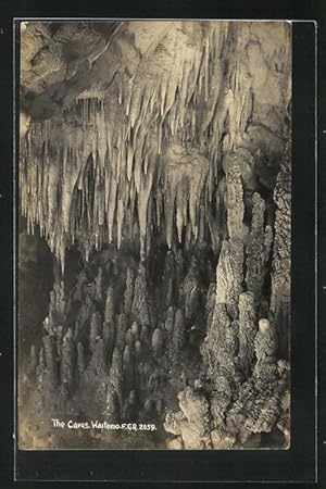 Waitomo Caves Neuseeland Postkarte Maori Tor 