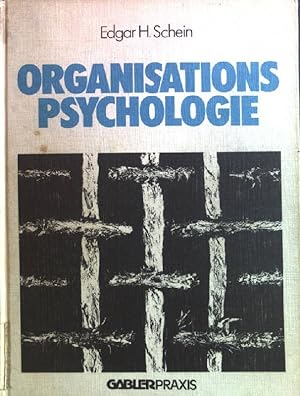 Organisationspsychologie. Führung, Strategie, Organisation ; Bd. 4; Gabler-Praxis