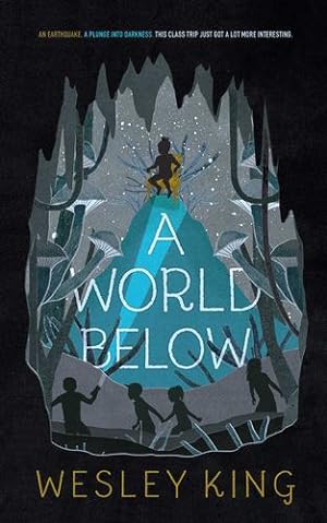 Seller image for A World Below by King, Wesley [Paperback ] for sale by booksXpress