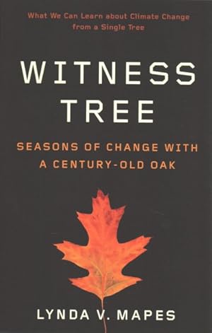 Seller image for Witness Tree : Seasons of Change With a Century-Old Oak for sale by GreatBookPrices