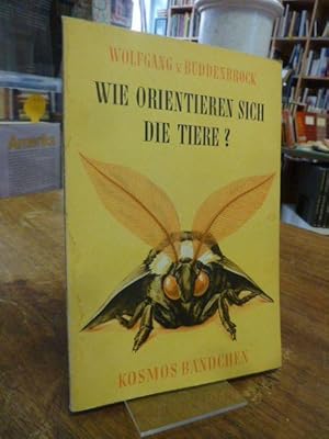 Bild des Verkufers fr Wie orientieren sich die Tiere? zum Verkauf von Antiquariat Orban & Streu GbR