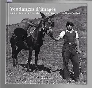 Vendanges d'images dans les vignes de provins