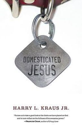 Seller image for Domesticated Jesus for sale by ChristianBookbag / Beans Books, Inc.