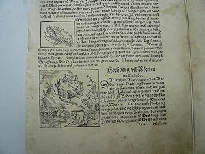 Hochberg und Rötelen im Brisgöw, anno 1580, Holzschnitt, Sebastian Münster Titel: Hochberg vnd Ro...