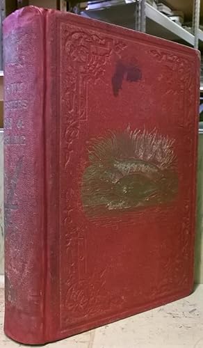 Frank Forester's Fish and Fishing of the United States and British Provinces of North America. Il...