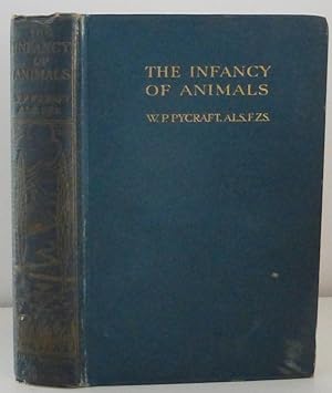 The Infancy of Animals