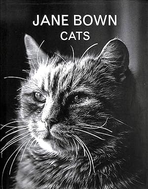 Jane Bown: Cats