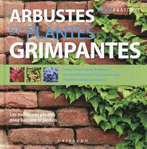 Image du vendeur pour arbustes et plantes grimpantes ; les meilleures plantes pour balcons et jardins mis en vente par Chapitre.com : livres et presse ancienne