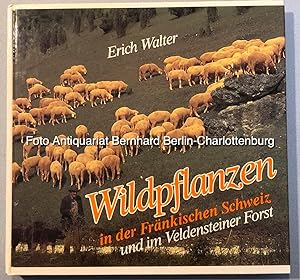 Wildpflanzen in der Fränkischen Schweiz und im Veldensteiner Forst