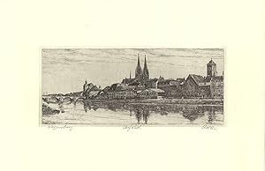 Bild des Verkufers fr Regensburg [panorama view] zum Verkauf von Antiquariat Reinhold Berg eK Inh. R.Berg