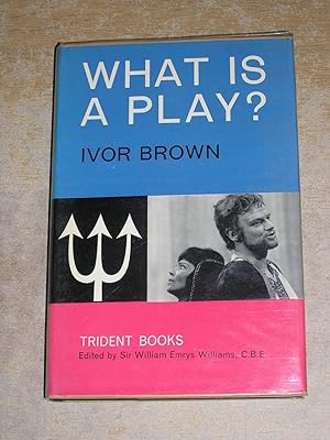 Seller image for What Is A Play for sale by Neo Books