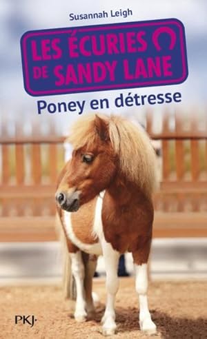 les écuries de Sandy Lane ; poney en détresse