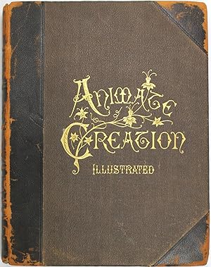 Animate Creation Volume IV Birds; Popular Edition of 'Our Living World,' A Natural History (Revis...