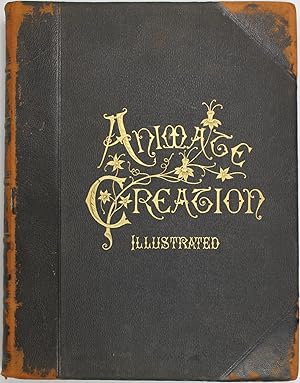 Animate Creation Volume V Fishes, Reptiles, & C.; Popular Edition of 'Our Living World,' A Natura...