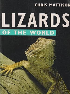 Lizard of the world