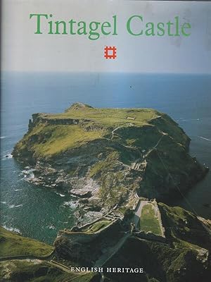 Bild des Verkufers fr Tintagel Castle zum Verkauf von Librodifaccia