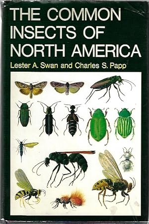 Common Insects of North America