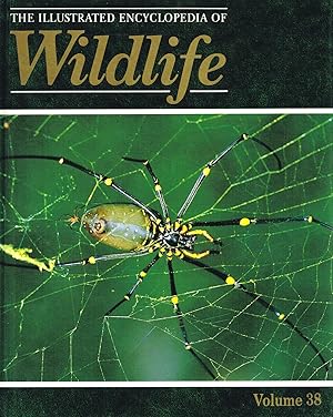 Bild des Verkufers fr The Illustrated Encyclopedia Of Wildlife : Volume 38 : Feeding Fangs - Spiders , Ticks And Mites : zum Verkauf von Sapphire Books