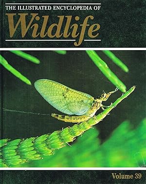 The Illustrated Encyclopedia Of Wildlife : Volume 39 : Spiders And Insects :