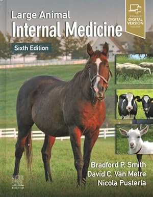 Image du vendeur pour Large Animal Internal Medicine mis en vente par GreatBookPrices