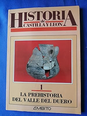 Historia de Castilla y León. 1 : La prehistoria del valle del Duero