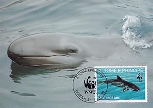 False Killer Whale WWF First Day Cover Postcard