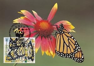 Monarch Butterfly Mexican WWF Stamp First Day Cover Postcard
