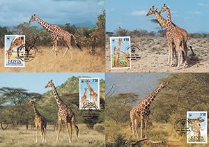 Reticulated Giraffe 4x WWF Stamp First Day Cover Postcard s