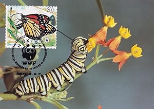 Monarch Butterfly Mexico WWF Limited Edn Stamp First Day Cover Postcard