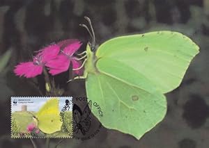 Citron Brimstone Guernsey Butterfly Moth WWF Stamp First Day Cover Postcard