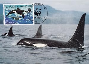 Dorsal Fin Orcinus Orca Killer Whale WWF Sealife Stamp Rare FDC Postcard