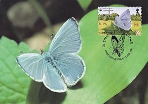 Guernsey Holly Blue Butterfly Moth WWF Stamp First Day Cover Postcard