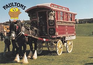 Burton Romany Horse Gipsy Wagon Peppa Pig Paultons Hampshire Postcard