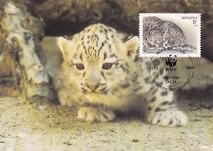 Snow Leopard Panthera Uncia WWF Rare Stamp FDC Postcard