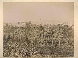 Jardins de Jaffa. (Panorama of Jaffa with Palm Trees in the Foreground). Original vintage photogr...