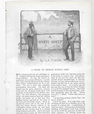Seller image for A White Sheep for sale by Legacy Books II