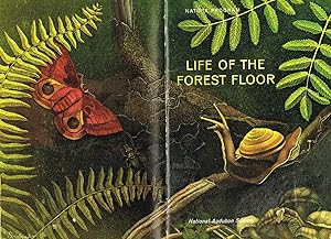 Life On The Forest Floor : National Audubon Society :