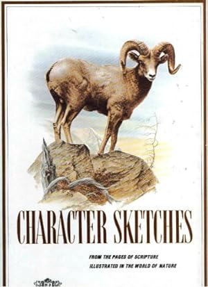 Bild des Verkufers fr Character Sketches: From the Pages of Scripture, Illustrated in the World of Nature, Volume II zum Verkauf von Peters Buchkontor