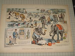 Seller image for 1897 Puck Lithograph of "Little Willie's Natural History Lesson at the Circus" for sale by rareviewbooks