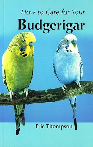 Imagen del vendedor de How To Care For Your Budgerigar : a la venta por Sapphire Books