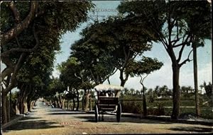 Bild des Verkufers fr Ansichtskarte / Postkarte Alexandria gypten, Promenade de Ramleh zum Verkauf von akpool GmbH