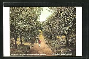 Künstler-Ansichtskarte Magila, the Orange Grove