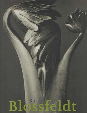 Seller image for Karl Blossfeldt 1865-1932. for sale by Bij tij en ontij ...