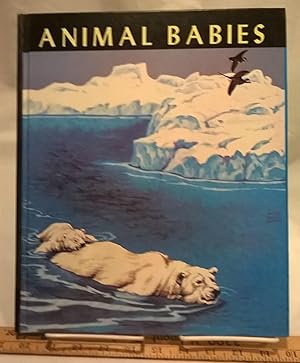 Seller image for Animal Babies for sale by Bargain Finders of Colorado