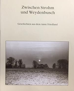 Zwischen Strohm und Weydenbusch. Geschichten aus dem Amte Friedland.