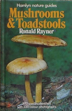 Imagen del vendedor de Mushrooms and Toadstools a la venta por Brian P. Martin Antiquarian and Collectors' Books