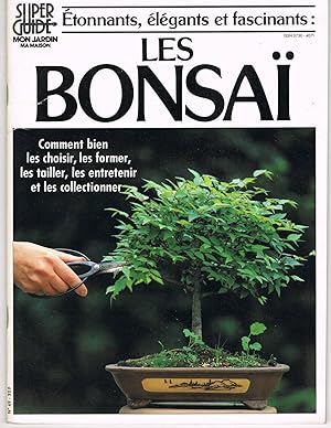Etonnants, élégants et fascinants : les bonsaï