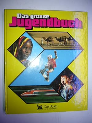 Seller image for Das grosse Jugendbuch 29. Folge for sale by Antiquariat im Kaiserviertel | Wimbauer Buchversand