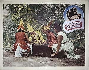 Imagen del vendedor de Forbidden Adventure Lobby Card a la venta por AcornBooksNH