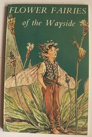 Imagen del vendedor de Flower Fairies of the Wayside a la venta por Antiquariat UPP